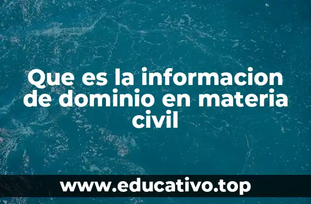 Que es la informacion de dominio en materia civil