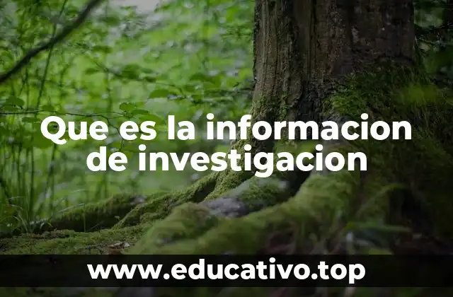 Que es la informacion de investigacion