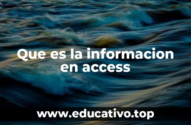 Que es la informacion en access