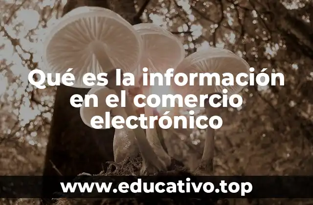 Qué es la información en el comercio electrónico