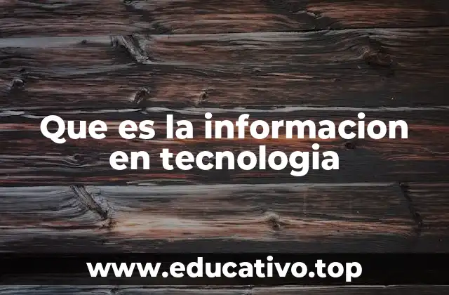 La importancia de la información en el mundo digital