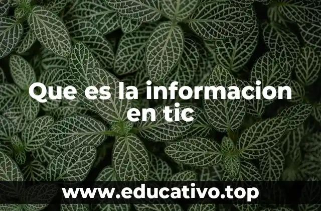 Que es la informacion en tic