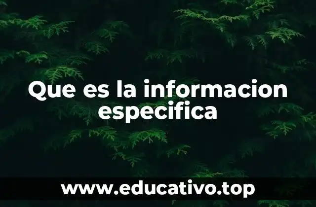 Que es la informacion especifica