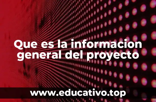 Que es la informacion general del proyecto