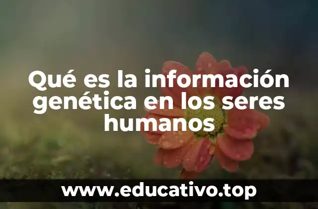 Qué es la información genética en los seres humanos
