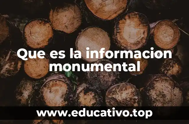 Que es la informacion monumental