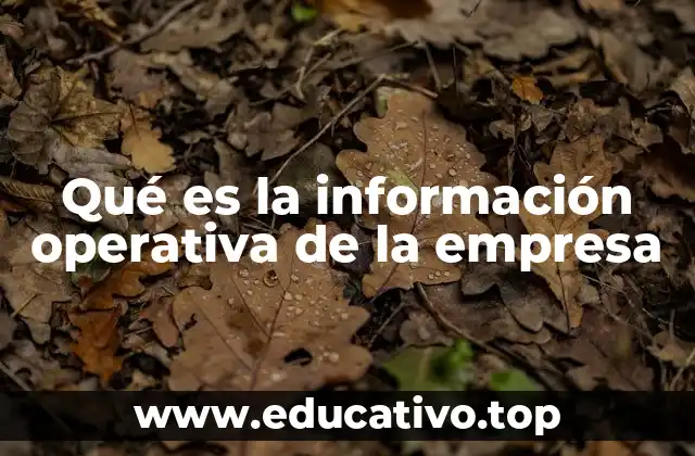 Qué es la información operativa de la empresa