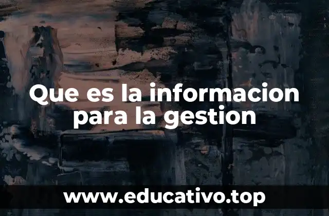 Que es la informacion para la gestion