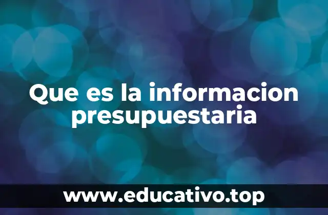 Que es la informacion presupuestaria