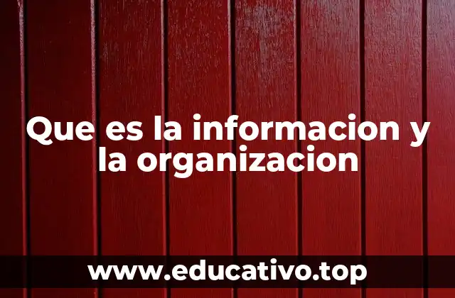 El papel de la información en el desarrollo humano