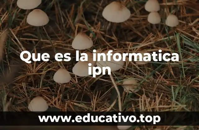 Que es la informatica ipn