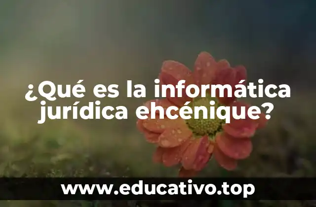 ¿Qué es la informática jurídica ehcénique?