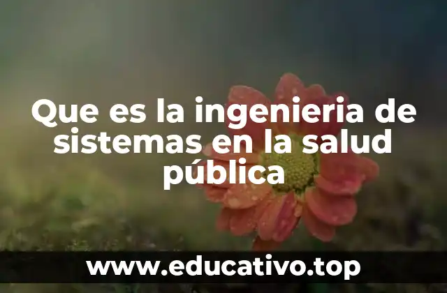 Que es la ingenieria de sistemas en la salud pública