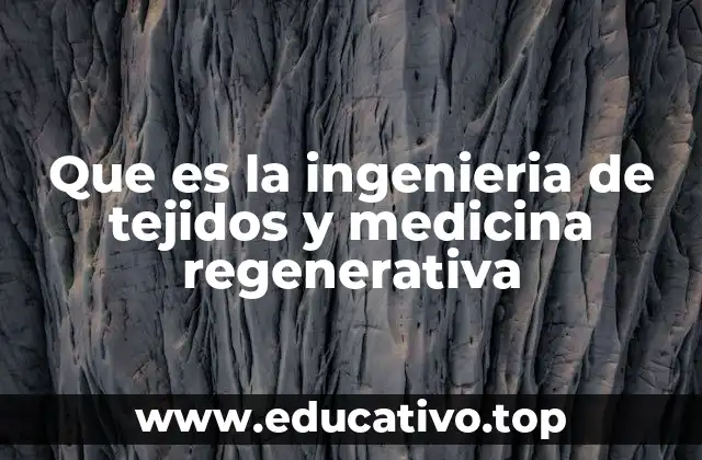 Que es la ingenieria de tejidos y medicina regenerativa
