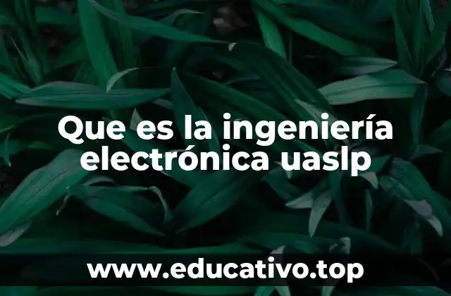 Cómo se estructura el programa de ingeniería electrónica en la UASLP