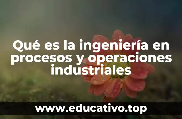 Qué es la ingeniería en procesos y operaciones industriales