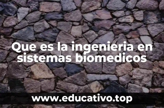 Que es la ingenieria en sistemas biomedicos