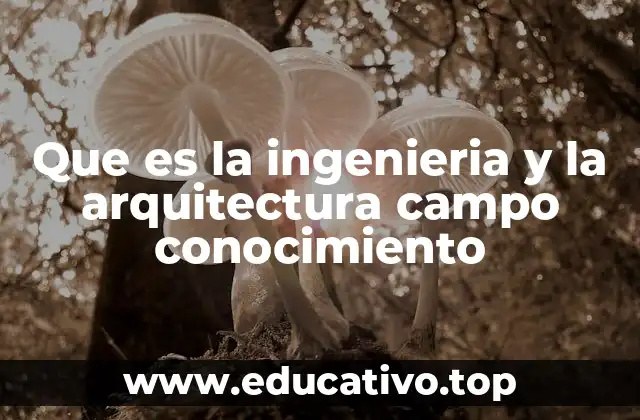 Que es la ingenieria y la arquitectura campo conocimiento