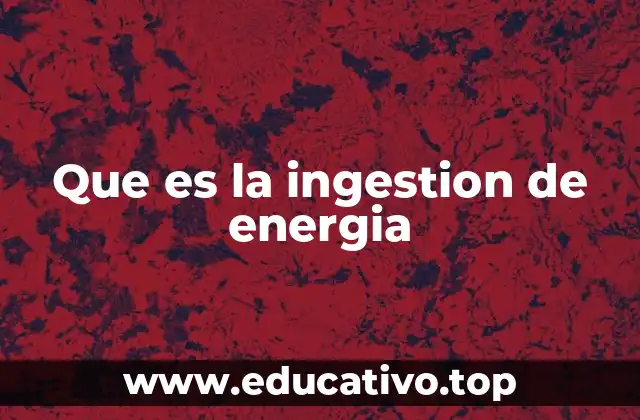 Que es la ingestion de energia