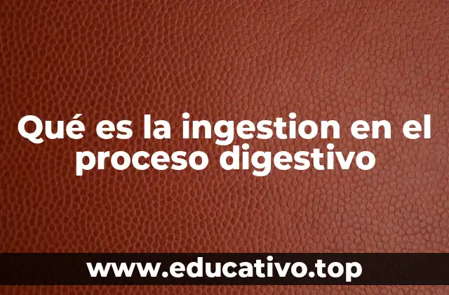Qué es la ingestion en el proceso digestivo