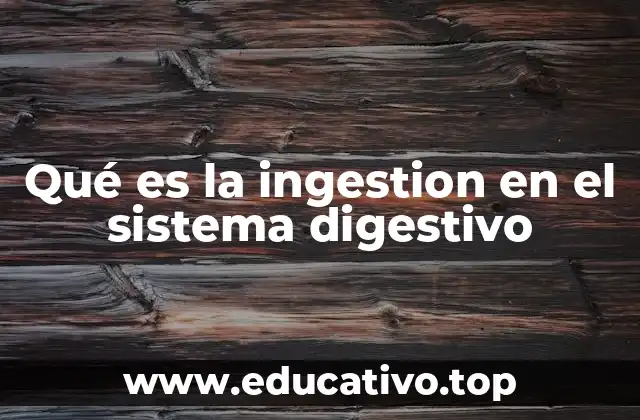 Qué es la ingestion en el sistema digestivo