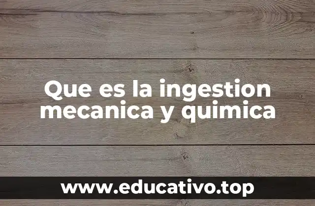 El proceso digestivo desde una perspectiva multidisciplinaria