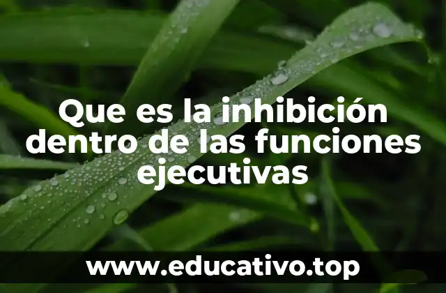 Que es la inhibición dentro de las funciones ejecutivas