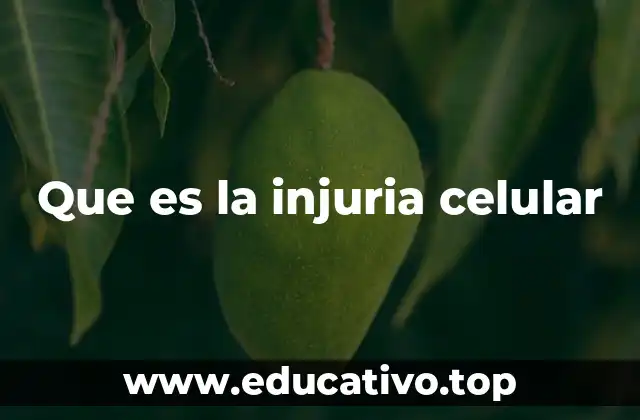 Que es la injuria celular