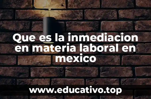 Que es la inmediacion en materia laboral en mexico