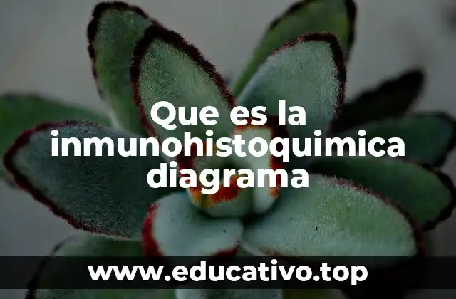 Que es la inmunohistoquimica diagrama