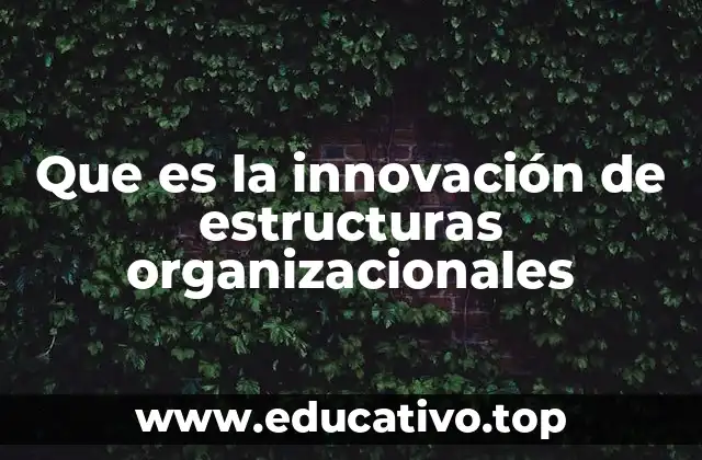 Que es la innovación de estructuras organizacionales