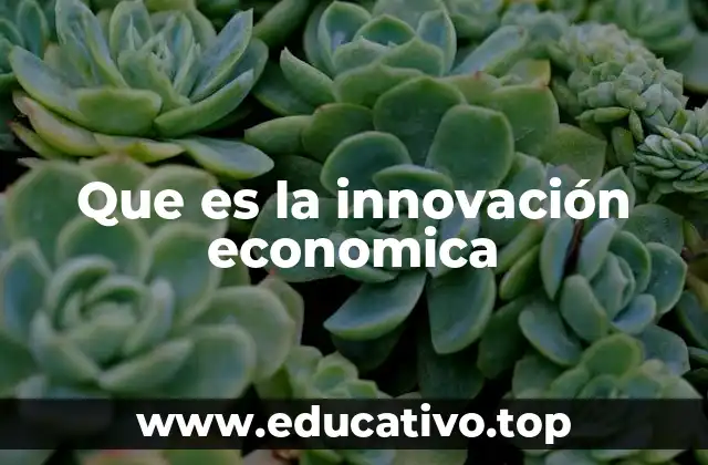 Que es la innovación economica