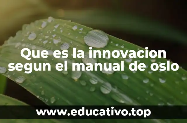 Que es la innovacion segun el manual de oslo