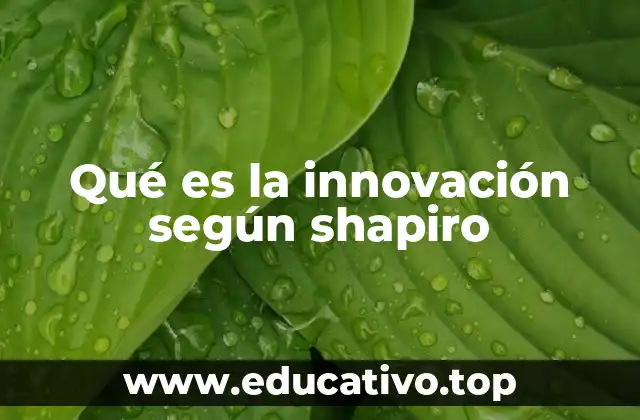 Qué es la innovación según shapiro