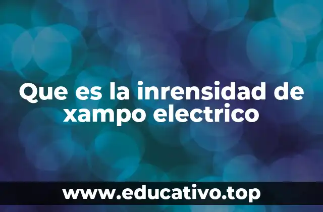 Que es la inrensidad de xampo electrico
