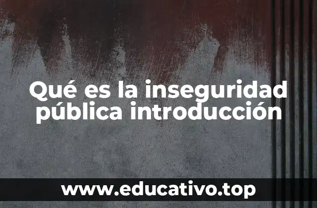 Qué es la inseguridad pública introducción