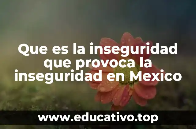 Que es la inseguridad que provoca la inseguridad en Mexico