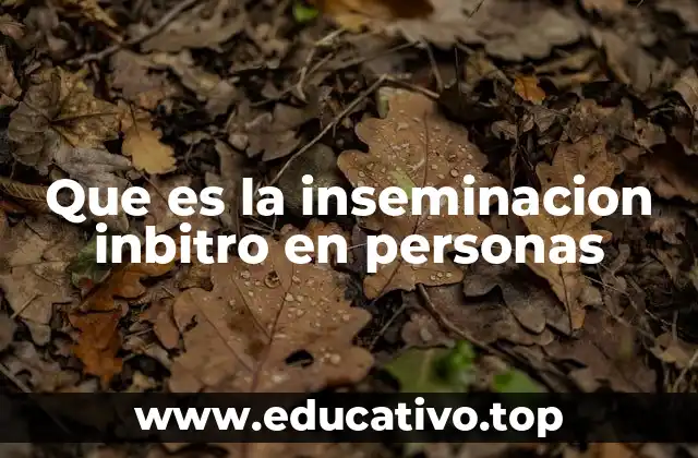 Que es la inseminacion inbitro en personas