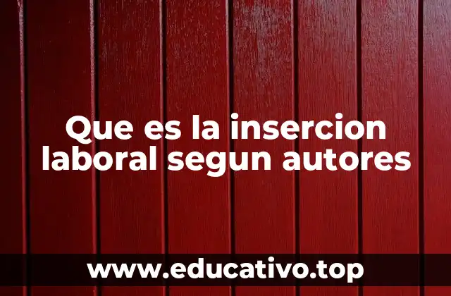 Que es la insercion laboral segun autores