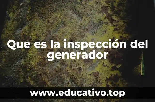 Que es la inspección del generador