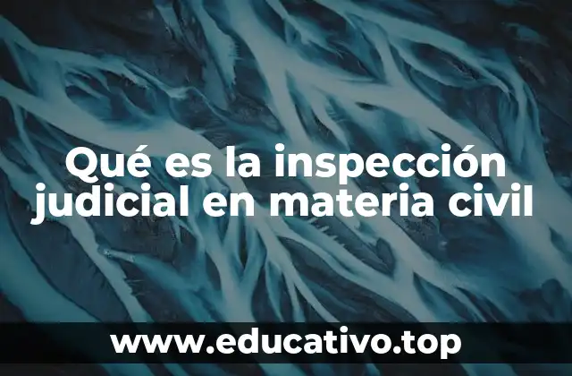 Qué es la inspección judicial en materia civil