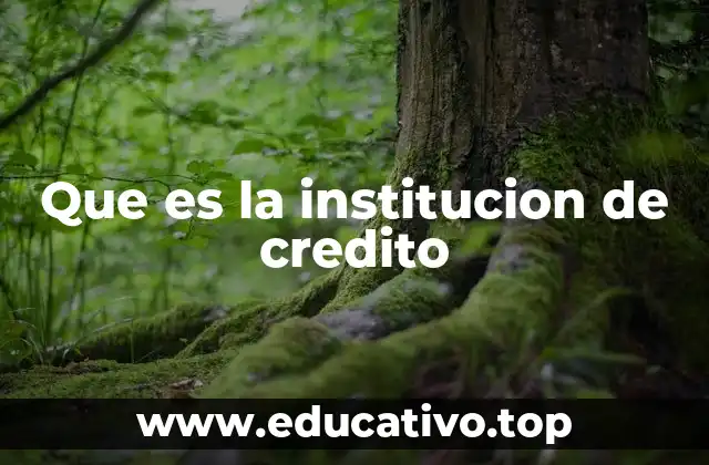 Que es la institucion de credito