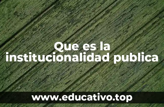 Que es la institucionalidad publica