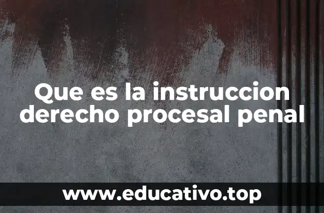 Que es la instruccion derecho procesal penal