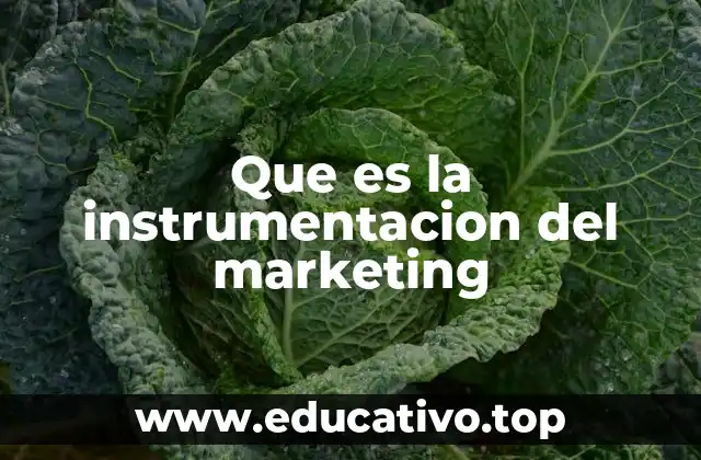 Que es la instrumentacion del marketing