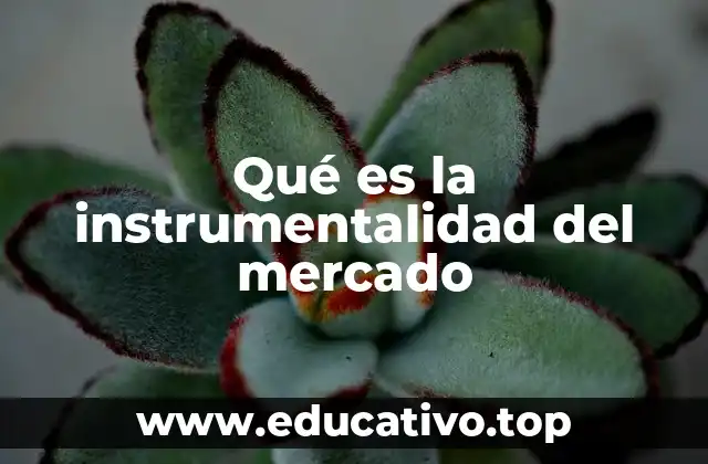 Qué es la instrumentalidad del mercado