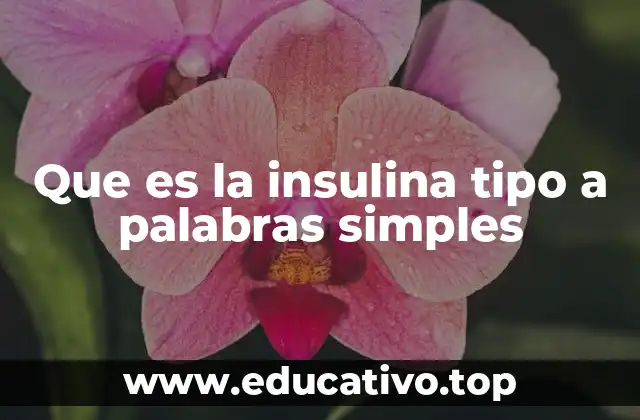 Que es la insulina tipo a palabras simples