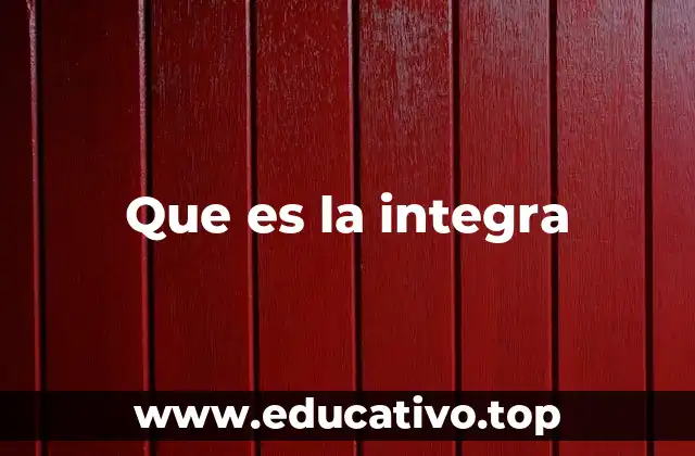 La importancia de la integración en los sistemas sociales