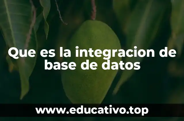 Que es la integracion de base de datos