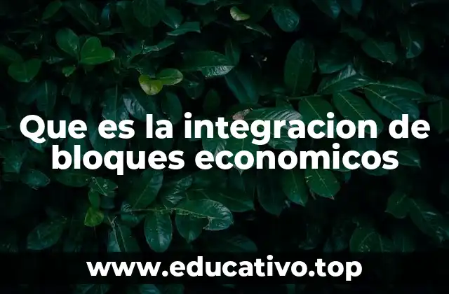 Que es la integracion de bloques economicos